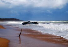 USA Administration Begins Carrying Out Health Plan